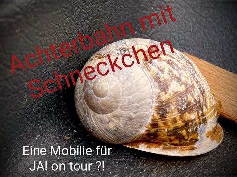 Achterbahn mit Schneckchen I. - JA! on tour findet eine Mobilie!